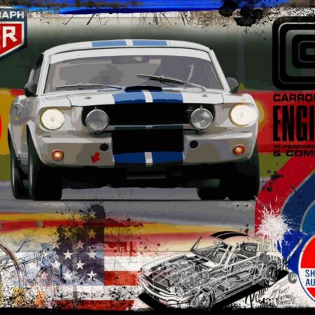 Mustang Racing Dollart