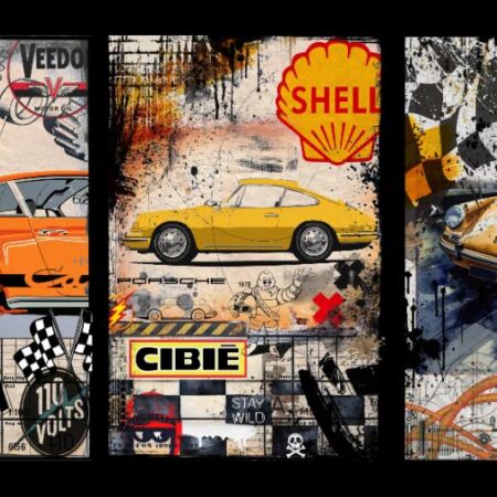 Pellicule Porsche Fast Pano